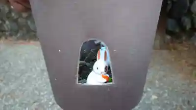 日蓮宗 総本山 塔頭 定林坊(じょうりんぼう)の狛犬