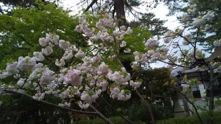 建部大社の自然