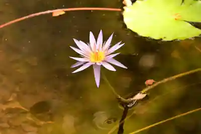 土佐神社(高知県)