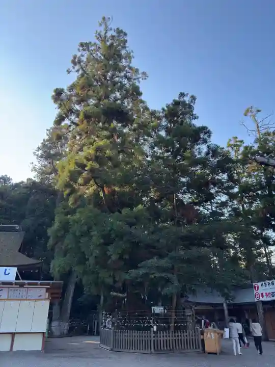 大神神社(奈良県)