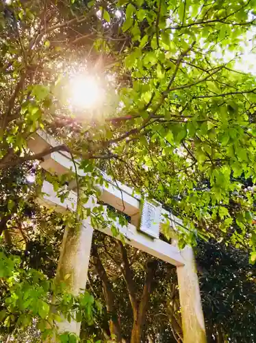 猿田神社の鳥居