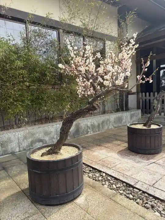 岩津天満宮の自然