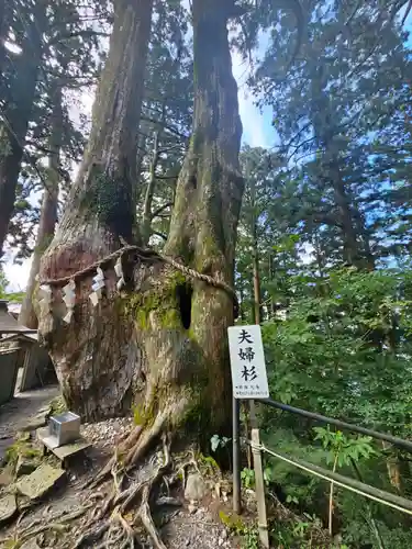 玉置神社(奈良県)