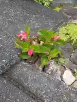 西方山極楽寺の自然