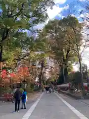 武蔵一宮氷川神社(埼玉県)