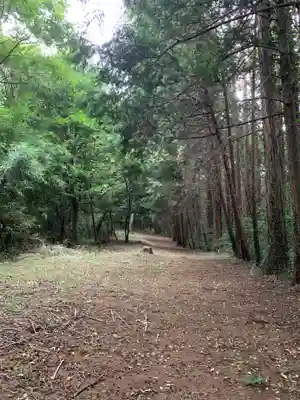 神社（名称不明）(千葉県)
