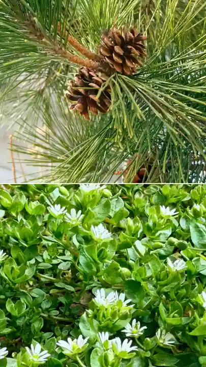 海神社の{uncategorized: "未分類", other: "その他", undefined: "問題あり", building: "その他建物", grave: "お墓", sacred_gate: "鳥居", guardian: "狛犬", statue: "像", buddha: "仏像", history: "歴史", nature: "自然", garden: "庭園", animal: "動物", pagoda: "塔", temizu: "手水舎", mountain_gate: "山門・神門", sanctuary: "本殿・本堂", subordinate: "末社・摂社", art: "芸術", scenery: "景色", jizo: "地蔵", ema: "絵馬", goshuin: "御朱印", omikuji: "おみくじ", items: "授与品その他", amulet: "お守り", goshuincho: "御朱印帳", eats: "食事", festival: "お祭り", votive_dance: "神楽", shichigosan: "七五三参", wedding: "結婚式", experience: "体験その他", initially: "初詣", around: "周辺", anti_infection: "感染症対策"}