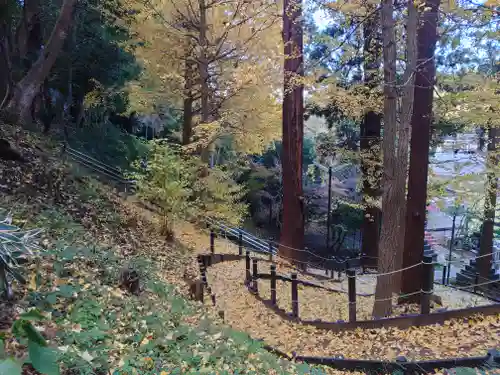 舞岡八幡宮(神奈川県)