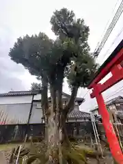 稲荷神社(兵庫県)