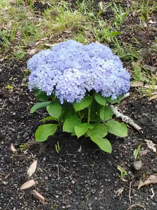 鹿島台神社(宮城県)