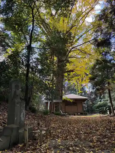 薬師堂厳島神社(千葉県)
