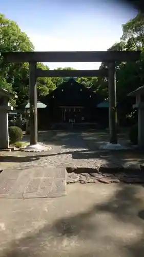 酒見神社の鳥居