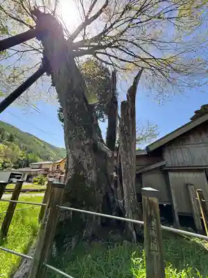 旗挙八幡宮(長野県)