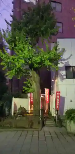 入一地蔵菩薩•入一観音菩薩の自然