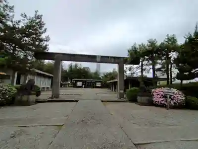 福井神社の鳥居