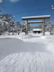 札幌護國神社の鳥居