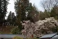 田村神社の景色
