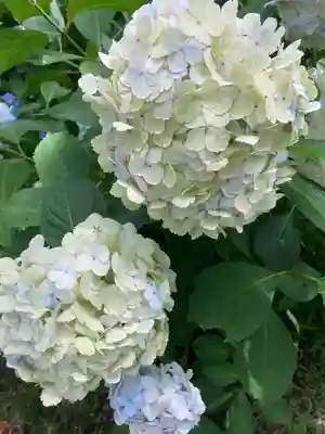 妙楽寺(神奈川県)