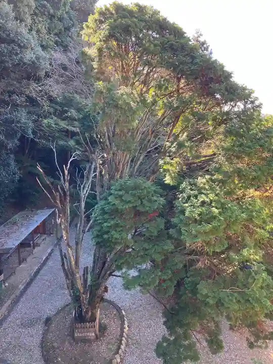 日龍峯寺(高澤観音)(美濃清水)(岐阜県)