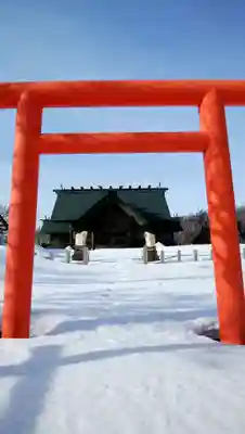 天塩厳島神社の鳥居