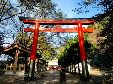 春日神社(新富町)の鳥居