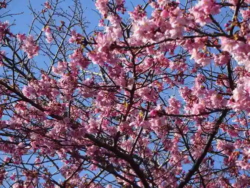 かっぱの寺 栖足寺の自然