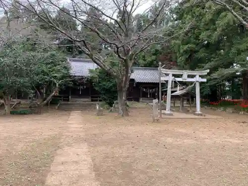 琴平八幡神社の本殿・本堂