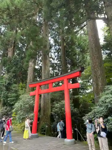 箱根神社の鳥居