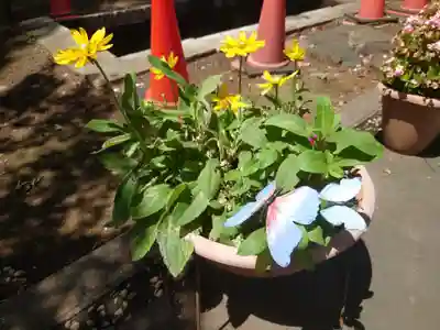 馬場氷川神社(埼玉県)