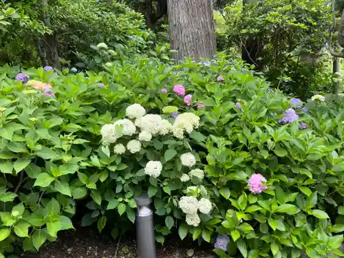 勝尾寺(大阪府)