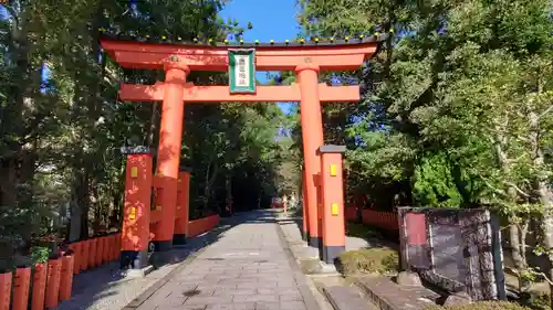 熊野速玉大社の鳥居