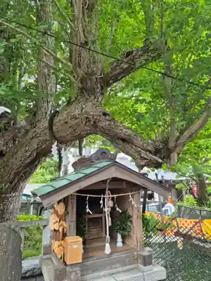 海南神社(神奈川県)