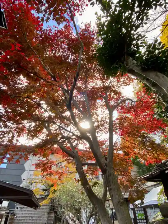 菅原院天満宮神社(京都府)