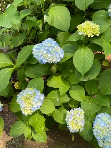 大生郷天満宮の自然