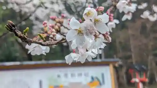 大原野神社(京都府)