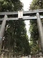 北口本宮冨士浅間神社の鳥居