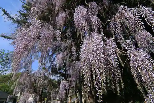 春日神社の庭園