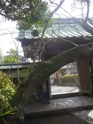 教恩寺の山門・神門