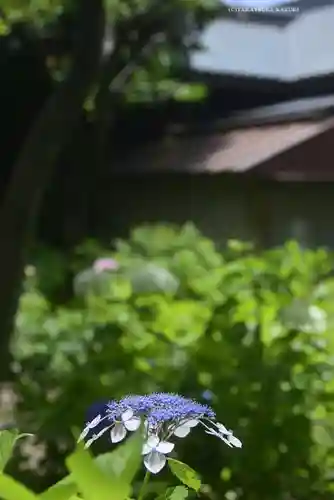 白山神社(東京都)