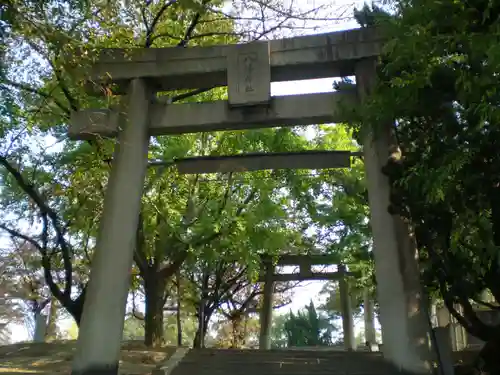 飛幡八幡宮の鳥居