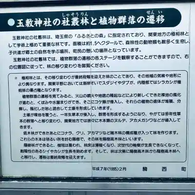 玉敷神社(埼玉県)