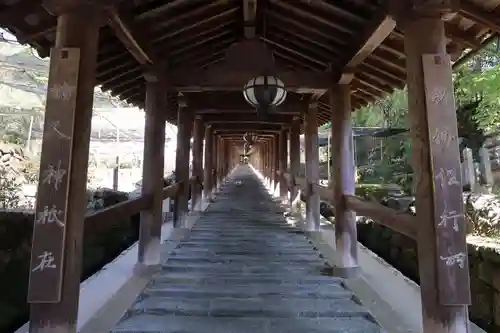 長谷寺(奈良県)