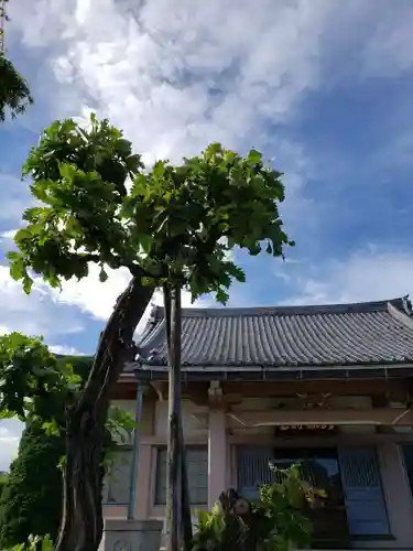永福寺の本殿・本堂