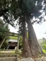 大室八幡神社の{uncategorized: "未分類", other: "その他", undefined: "問題あり", building: "その他建物", grave: "お墓", sacred_gate: "鳥居", guardian: "狛犬", statue: "像", buddha: "仏像", history: "歴史", nature: "自然", garden: "庭園", animal: "動物", pagoda: "塔", temizu: "手水舎", mountain_gate: "山門・神門", sanctuary: "本殿・本堂", subordinate: "末社・摂社", art: "芸術", scenery: "景色", jizo: "地蔵", ema: "絵馬", goshuin: "御朱印", omikuji: "おみくじ", items: "授与品その他", amulet: "お守り", goshuincho: "御朱印帳", eats: "食事", festival: "お祭り", votive_dance: "神楽", shichigosan: "七五三参", wedding: "結婚式", experience: "体験その他", initially: "初詣", around: "周辺", anti_infection: "感染症対策"}