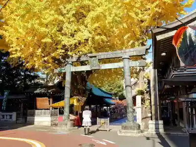 湯島天満宮の鳥居