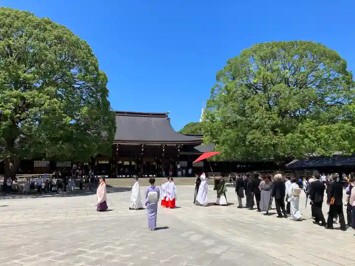 明治神宮(東京都)