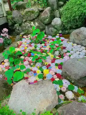 岡寺（龍蓋寺）の手水舎