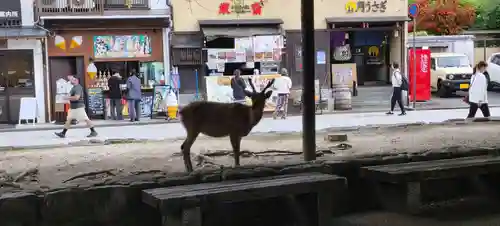 厳島神社(広島県)