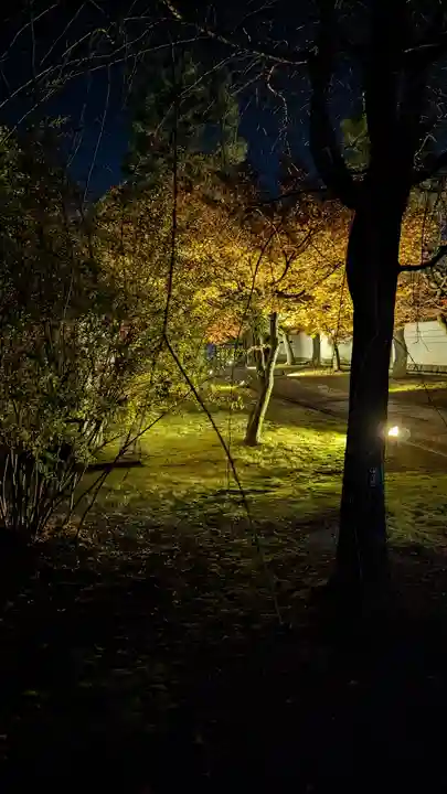 妙顯寺(妙顕寺)(京都府)