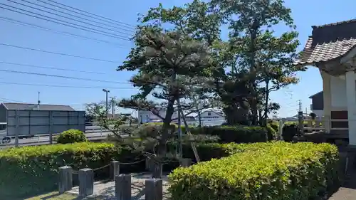 東妙寺の庭園